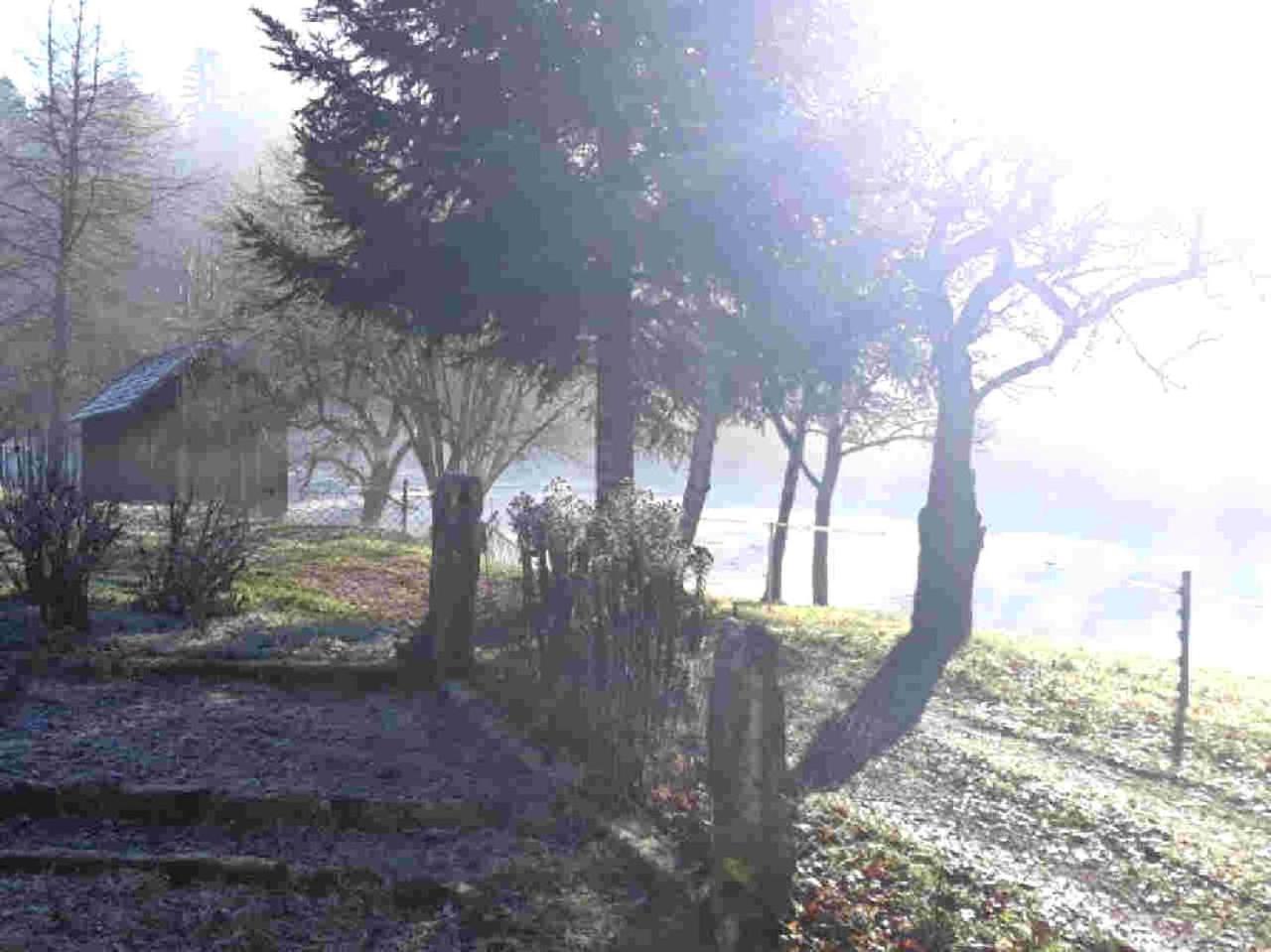 Ferienhaus Schwarzwald Seewald Erzgrube Badesee 100% Natur 外观 照片