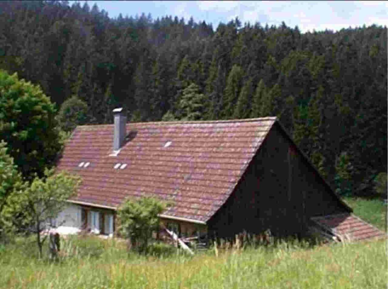 Ferienhaus Schwarzwald Seewald Erzgrube Badesee 100% Natur 外观 照片
